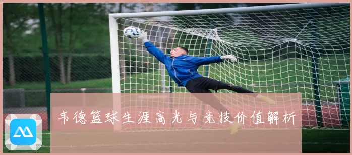 韦德篮球生涯高光与竞技价值解析