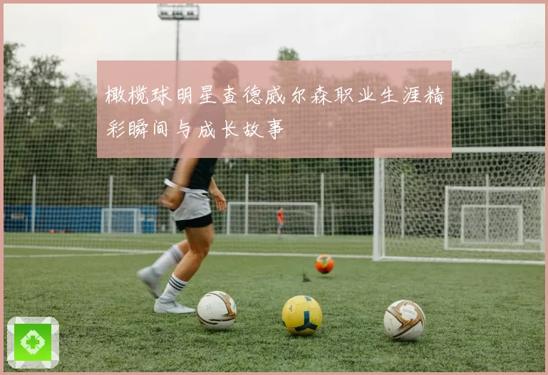 橄榄球明星查德威尔森职业生涯精彩瞬间与成长故事