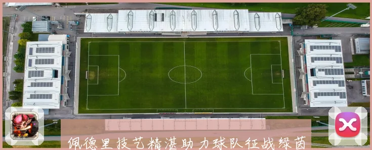 佩德里技艺精湛助力球队征战绿茵场的非凡表现解析