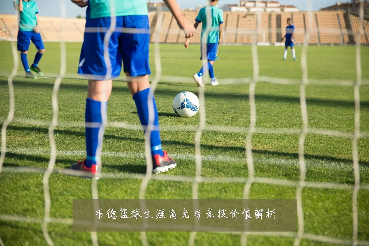韦德篮球生涯高光与竞技价值解析